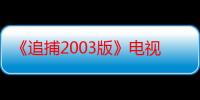 《追捕2003版》电视剧在线观看_免费全集完整版-影视大全