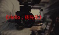 《Hello，树先生》电影在线观看_免费高清完整版-影视大全