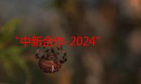 “中新合作-2024”海上联合演习闭幕