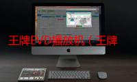 王牌EVD播放机（王牌evd）