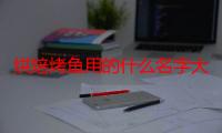 烘焙烤鱼用的什么名字大全