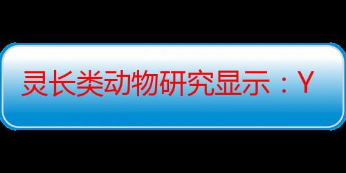 灵长类动物研究显示：Y染色体进化速度快于X染色体