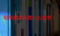 电商数字化是什么意思（电商的内容化和智能化是什么意思）