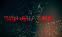 电脑pin是什么意思啊（电脑pin是什么意思）