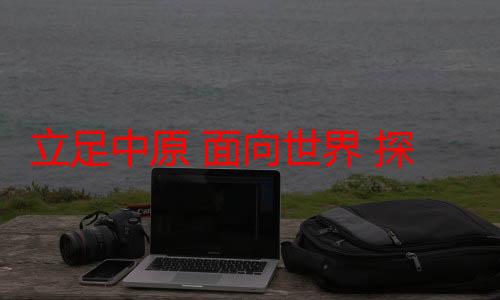 立足中原 面向世界 探寻河南