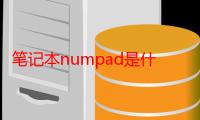 笔记本numpad是什么键（numpad是什么键）