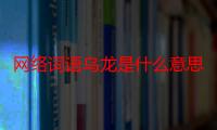 网络词语乌龙是什么意思（网络上的摆乌龙是什么意思）