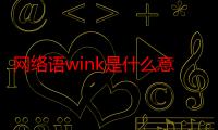 网络语wink是什么意思怎么回复（网络语wink是什么意思）