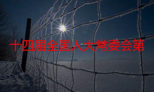 十四届全国人大常委会第十一次会议9月10日至13日举行