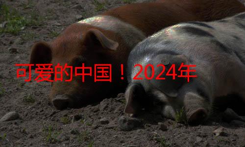 可爱的中国！2024年《开学第一课》9月1日开播