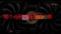 哪个dj网站音质好（哪个知道好的DJ 网站介绍哈）