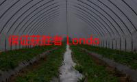 保证获胜者 London Broil