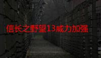 信长之野望13威力加强版游侠网（信长之野望13威力加强版修改器）