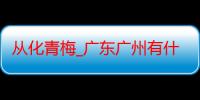 从化青梅_广东广州有什么好吃的推荐嘛-美食特产