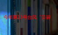 今年第13号台风“贝碧嘉”生成 多部门做好台风防御工作