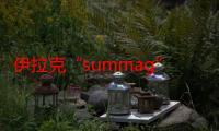 伊拉克“summag”沙拉 - 漆树沙拉。