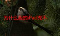 为什么我的iPad充不了电（为什么ipad充不了电）