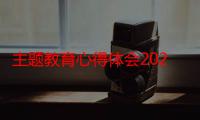 主题教育心得体会2023（W595主题和什么型号是一样的）