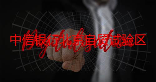 中信银行北京自贸试验区商务中心区支行志愿服务社区 守护老年人“钱袋子”