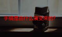 手绢是由什么演变来的?（手绢是由什么演变而来）