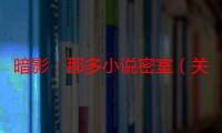 暗影：那多小说密室（关于暗影：那多小说密室介绍）