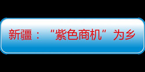 新疆：“紫色商机”为乡村产业振兴注入新动力