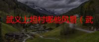 武义上坦村哪些风景（武义有哪些旅游景点）