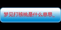 梦见打核桃是什么意思_梦见打核桃好不好-周公解梦