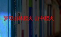 梦见山林起火 山中起火是什么意思_梦见山林起火好不好-周公解梦