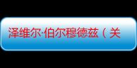 泽维尔·伯尔穆德兹（关于泽维尔·伯尔穆德兹介绍）