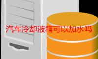 汽车冷却液箱可以加水吗 冷却液没漏也会变少吗