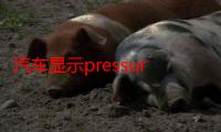 汽车显示pressure怎么解决（pressures在汽车上是什么意思）