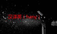 汉译英（hany）