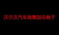 沃尔沃汽车销售副总裁于柯鑫谈新能源市场挑战与机遇