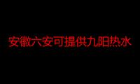 安徽六安可提供九阳热水器维修服务地址在哪