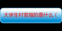 大学生村官指的是什么（什么是大学生村官政策）