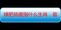 嫌肥挑瘦指什么生肖，最新释义解释落实