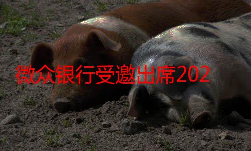 微众银行受邀出席2024年全球中小企业金融论坛 获“年度中小企业金融机构”全球铂金奖