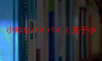 小粋なバイバイ（关于小粋なバイバイ介绍）