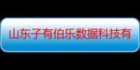 山东子有伯乐数据科技有限公司（关于山东子有伯乐数据科技有限公司介绍）