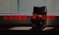 巨项目管理（关于巨项目管理介绍）