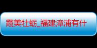 霞美牡蛎_福建漳浦有什么好吃的推荐嘛-美食特产