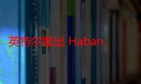 英特尔推出 Habana Gaudi2 和 Greco 7nm 深度学习加速器