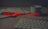 英雄联盟里（什么adc装备ad 装备是什么意思）