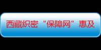 西藏织密“保障网”惠及近12万名残疾人