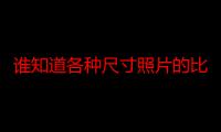 谁知道各种尺寸照片的比例 1寸--六十八寸不是长宽的厘米数也不是像素是照片剪裁比例