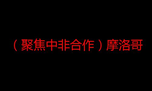 （聚焦中非合作）摩洛哥驻华大使：愿为非中合作发挥桥梁作用