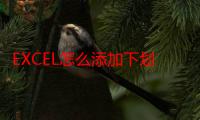 EXCEL怎么添加下划线（在Excel中怎么添加下划线）