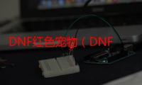 DNF红色宠物（DNF宠物金毛球属性官网复制的来）