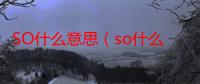 SO什么意思（so什么意思是什么）